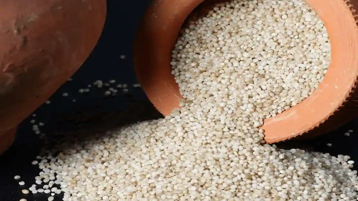 Shamak - शामक