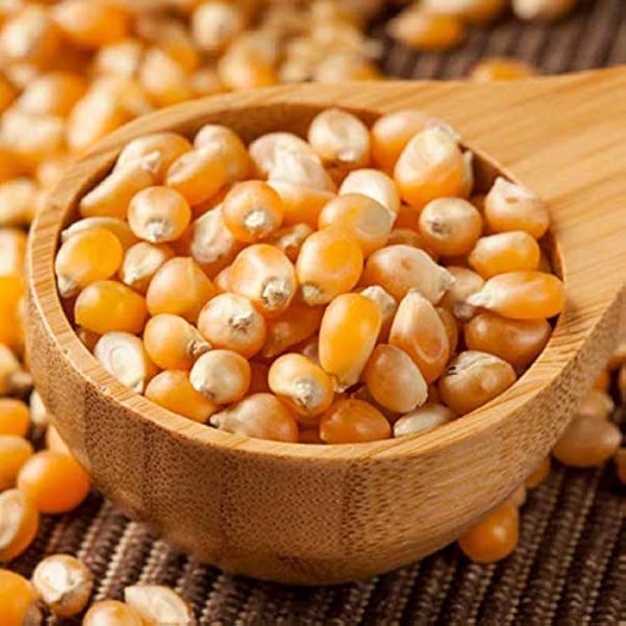 Pop Corn Dana - पॉपकॉर्न दाना