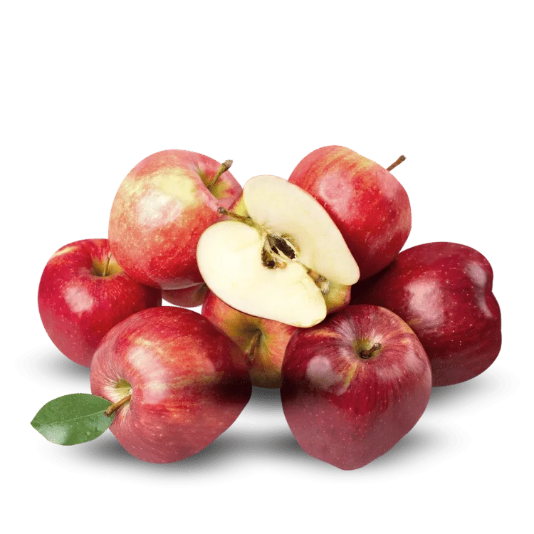 Apple Himachal  - सेब